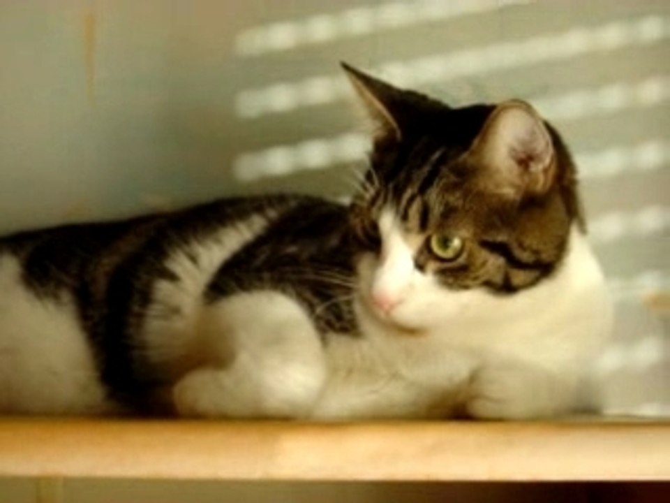 Marius qui fait une pause