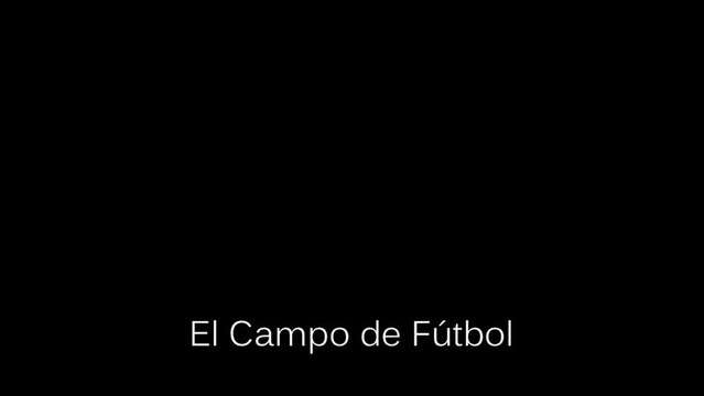 EL CAMPO DE FÚTBOL. Campaña abonados 2013/2014. LAPALMA CF