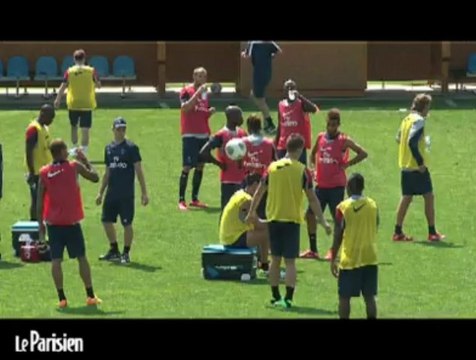 PSG - Laurent Blanc : Cavani et Ibra sont deux joueurs compatibles