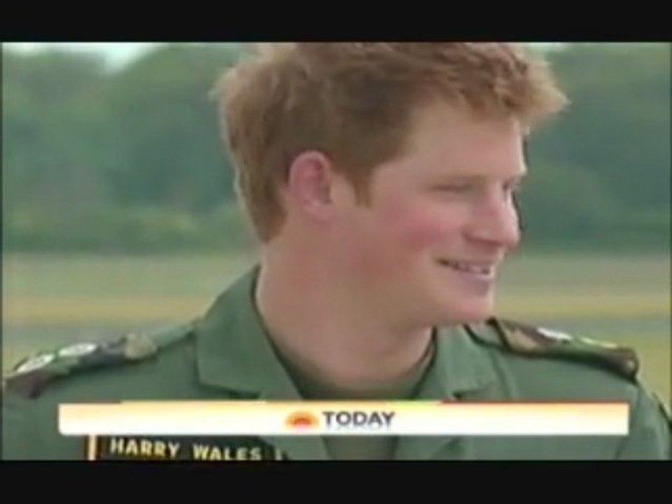 Here Come The Harry Hunters