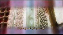 Mulla Jaleel Karbalaei راعي الشدايد - جليل الكربلائي - YouTube