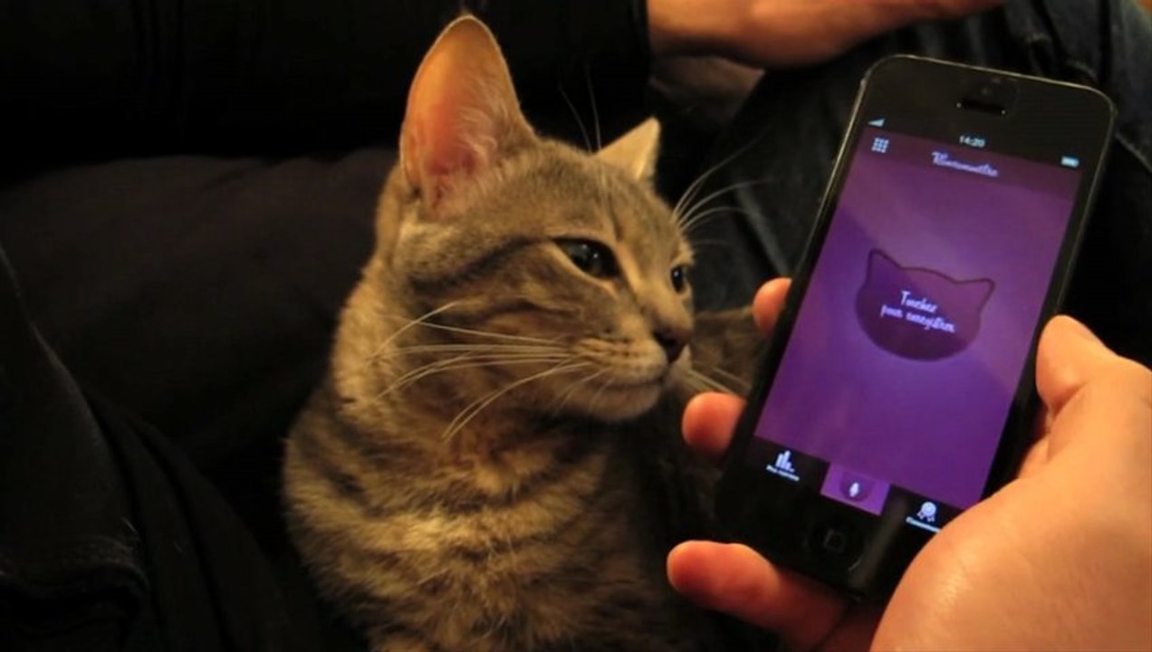 Ronronmètre, la nouvelle application