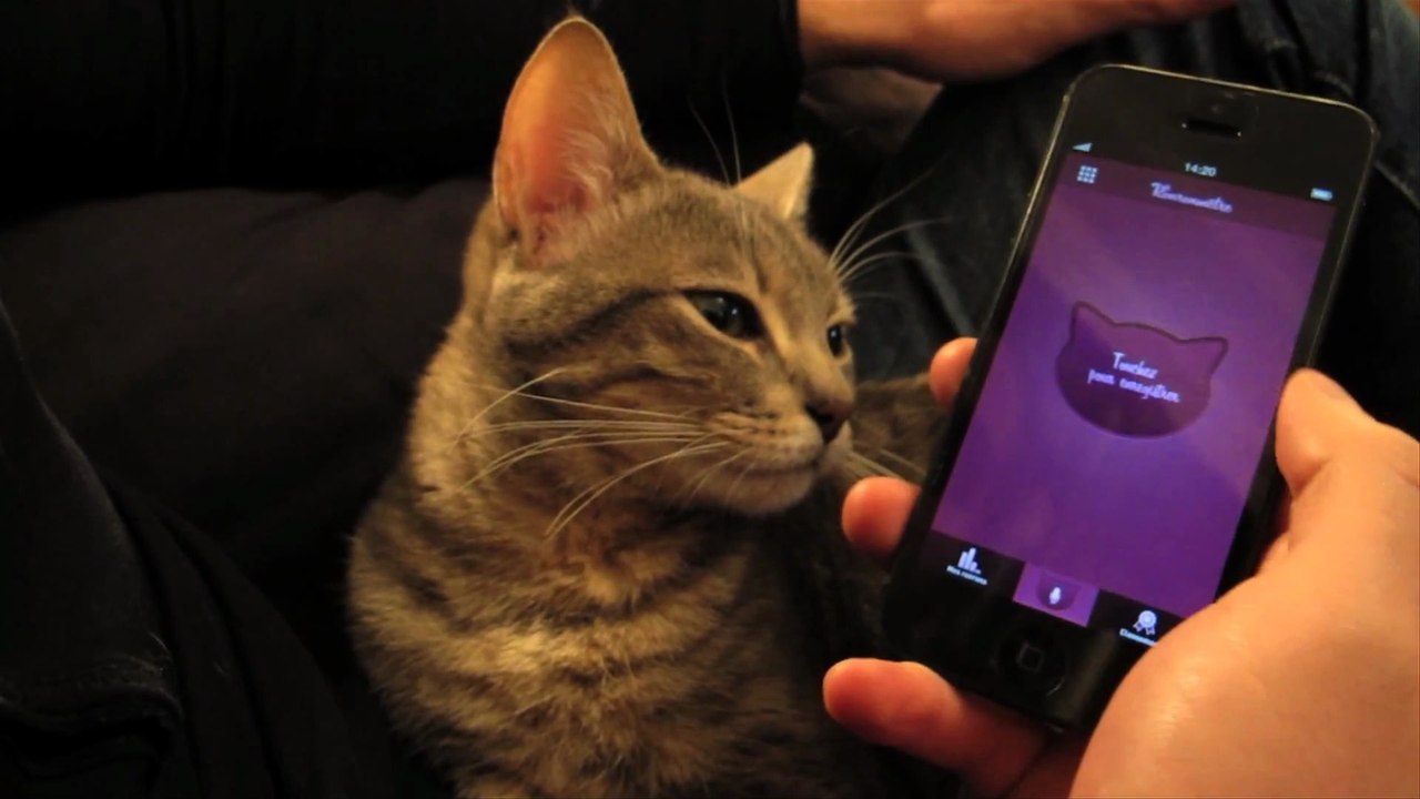 Ronronmètre, la nouvelle application