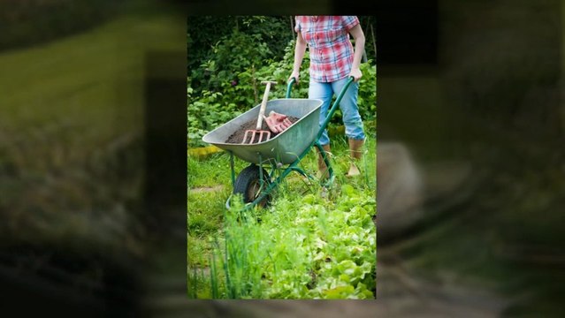 Summer Landscaping Tips-Floral Image-Landscaping Loughborough