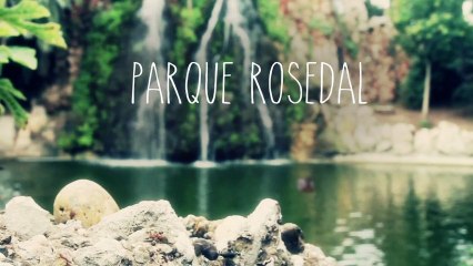 Parque Rosedal - Joan Dausà i els Tipus d'Interès