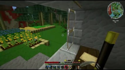 Minecraft FTB [Part 23] - Satiel Potter and the Workbench of Nitor