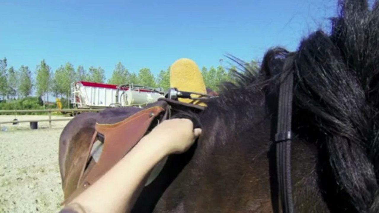 essai selle Lem.