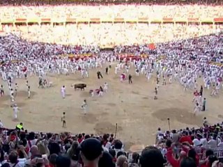 Забег быков состоялся в Памплоне