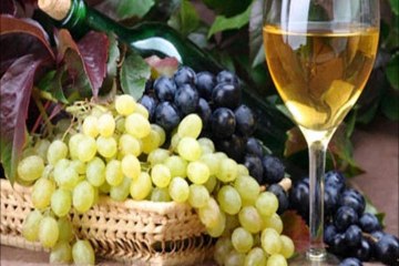 Ovo je nasa zemlja Hercegovina