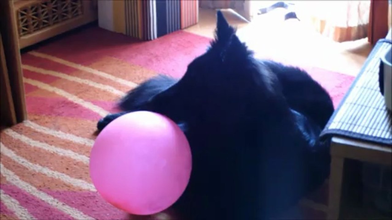 heaven et son ballon
