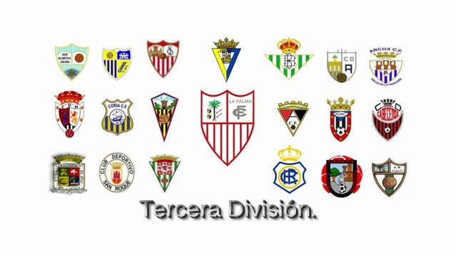 LOS OTROS EQUIPOS. Campaña abonados 2013/2014. LA PALMA CF