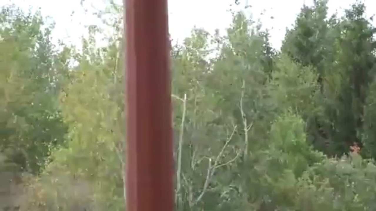 Tailler les arbres en hélico - L'hélicoptère taille-haie