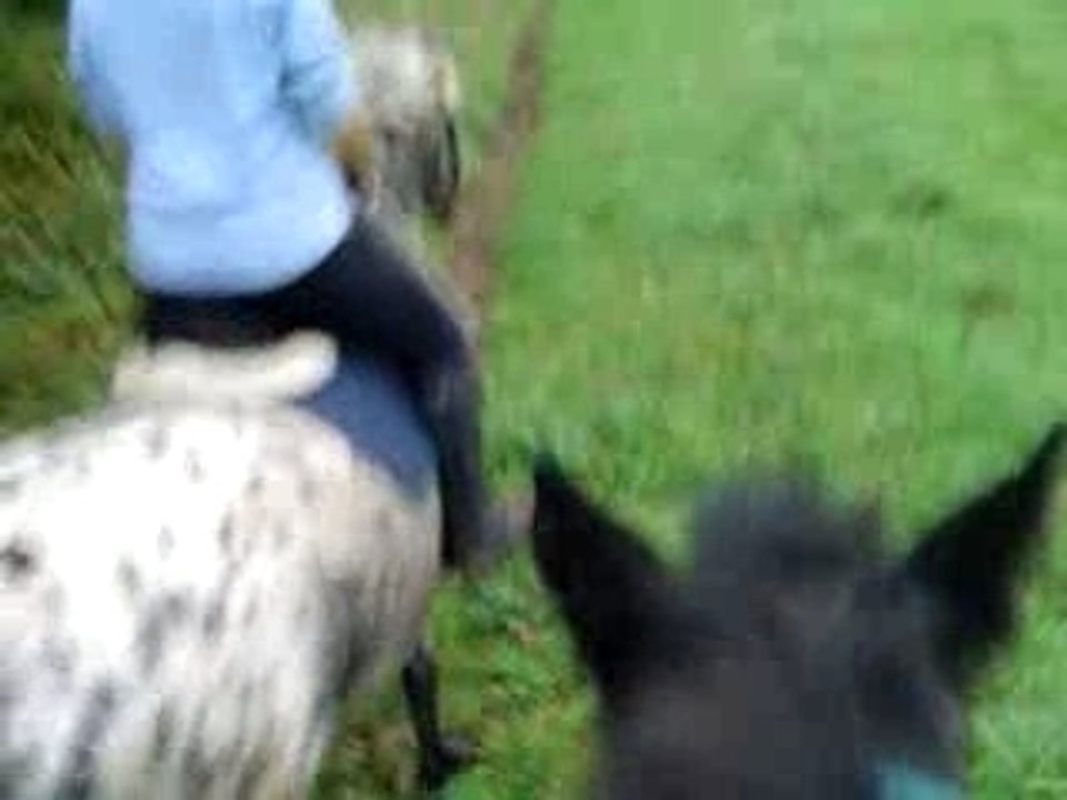Laura au trot