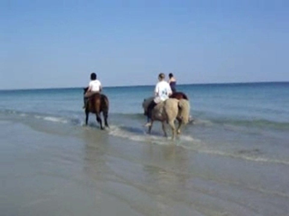 BALADE A CHEVAL 2005 107