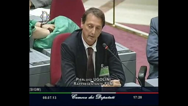 Roma - Audizione sulla tutela della salute (08.07.13)