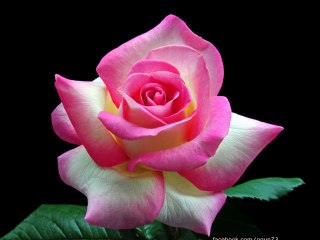 Kara Yüzüm ~ Emrullah Coşkun