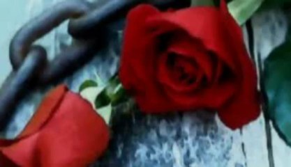 hasan dag - canim yolunda olmek istedi