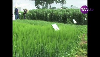 9 juillet 2013 - Prairiales