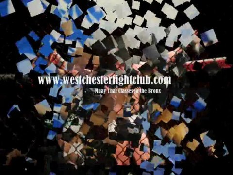 Muay Thai Classes in the Bronx