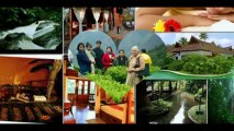 Munnar Package, Honeymoon in Munnar, Honeymoon Packages in Munnar