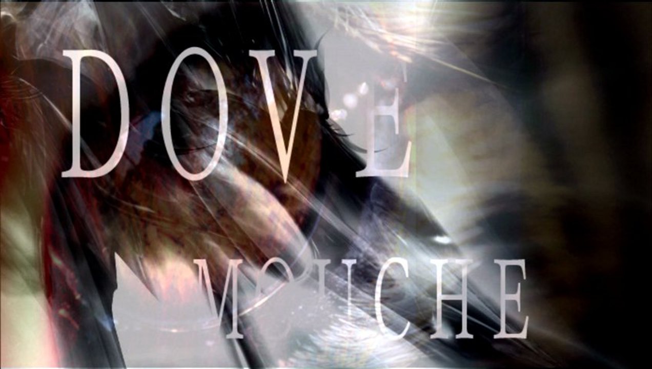 DOVE MOUCHE