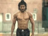 Bhaag Milkha Bhaag Release In Trouble