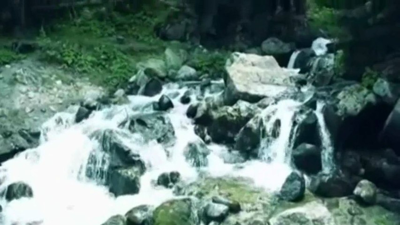 تامر حسنى -  أهل الجنة HD