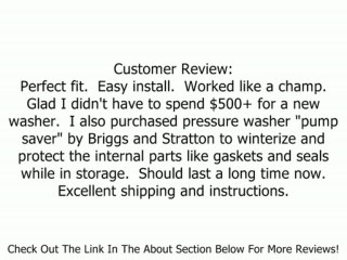 Briggs & Stratton 206376GS Assembly Pump for Pressure Washers Review