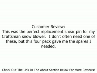 OEM-738-04124 MTD Snow Thrower Shear Pin Replaces 738-04124 2005 & After Review