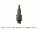 Champion RJ17LM (856) Copper Plus Small Engine Spark Plug, Pack of 1 Review