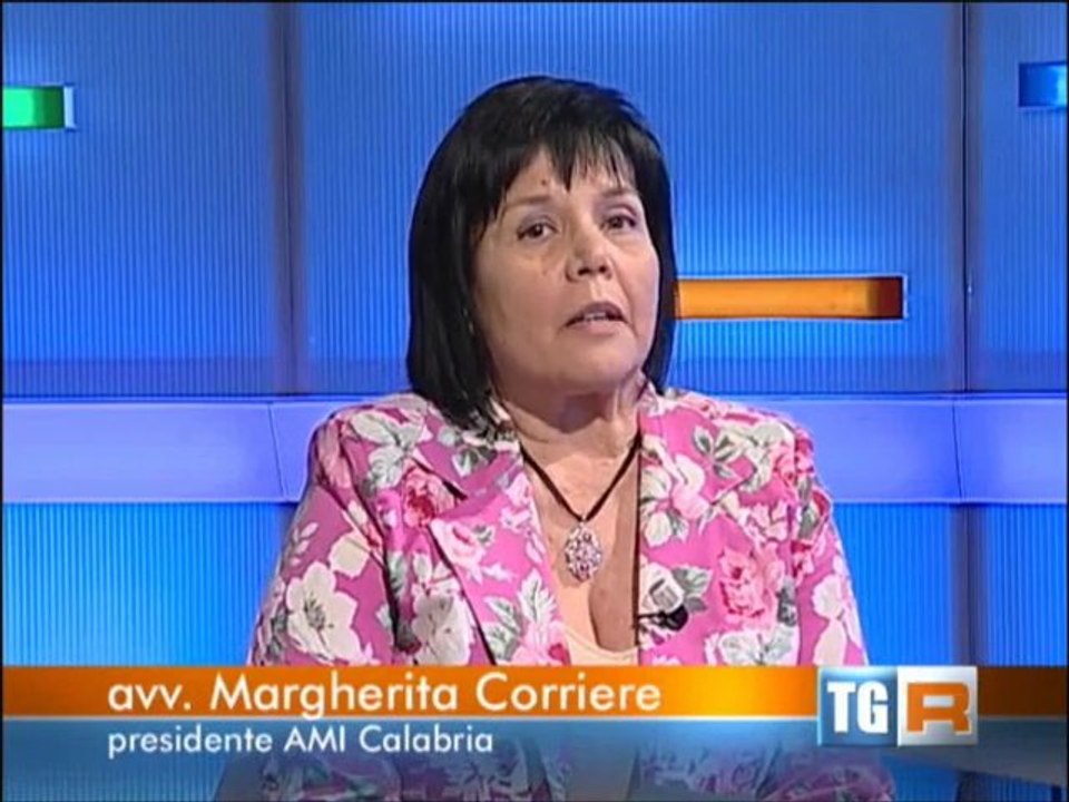 AMI AVVOCATI VIDEO: A LAMEZIA IL PRIMO UFFICIO DI MEDIAZIONE FAMILIARE IN ITALIA.
