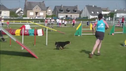 Eidi Concours de Tanis 2013-07-07