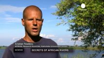 Primo studio sull'anidride carbonica nei fiumi africani