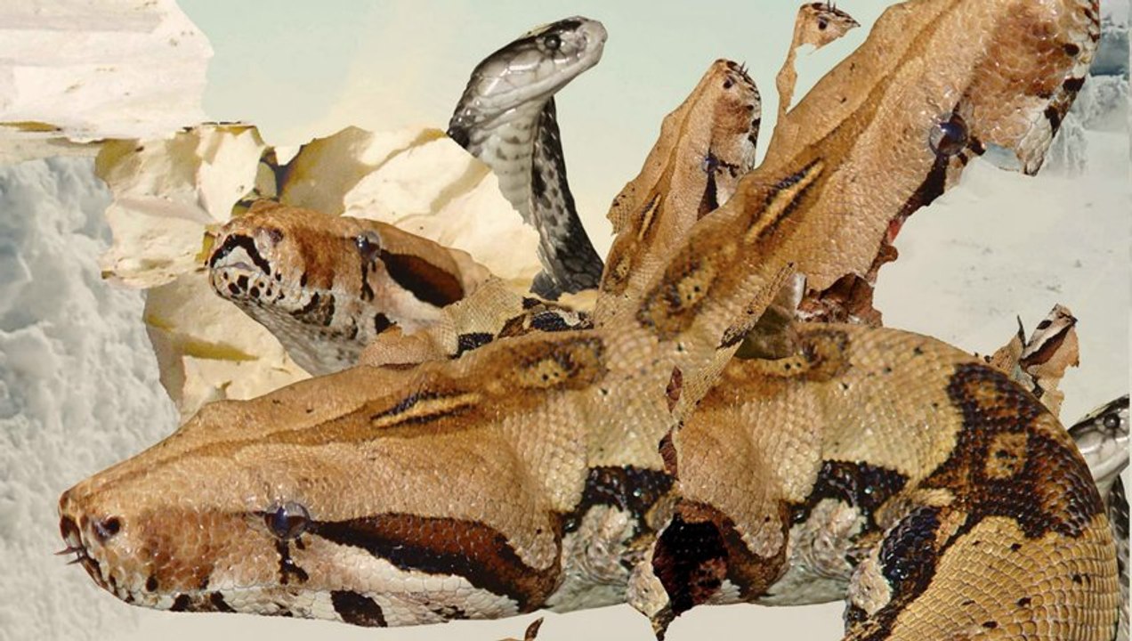 Bring Me The Horizon - _And The Snakes Start To Sing_ (Full Album Stream)