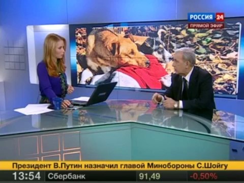 Убийца животных - потенциальный убийца людей.mp4