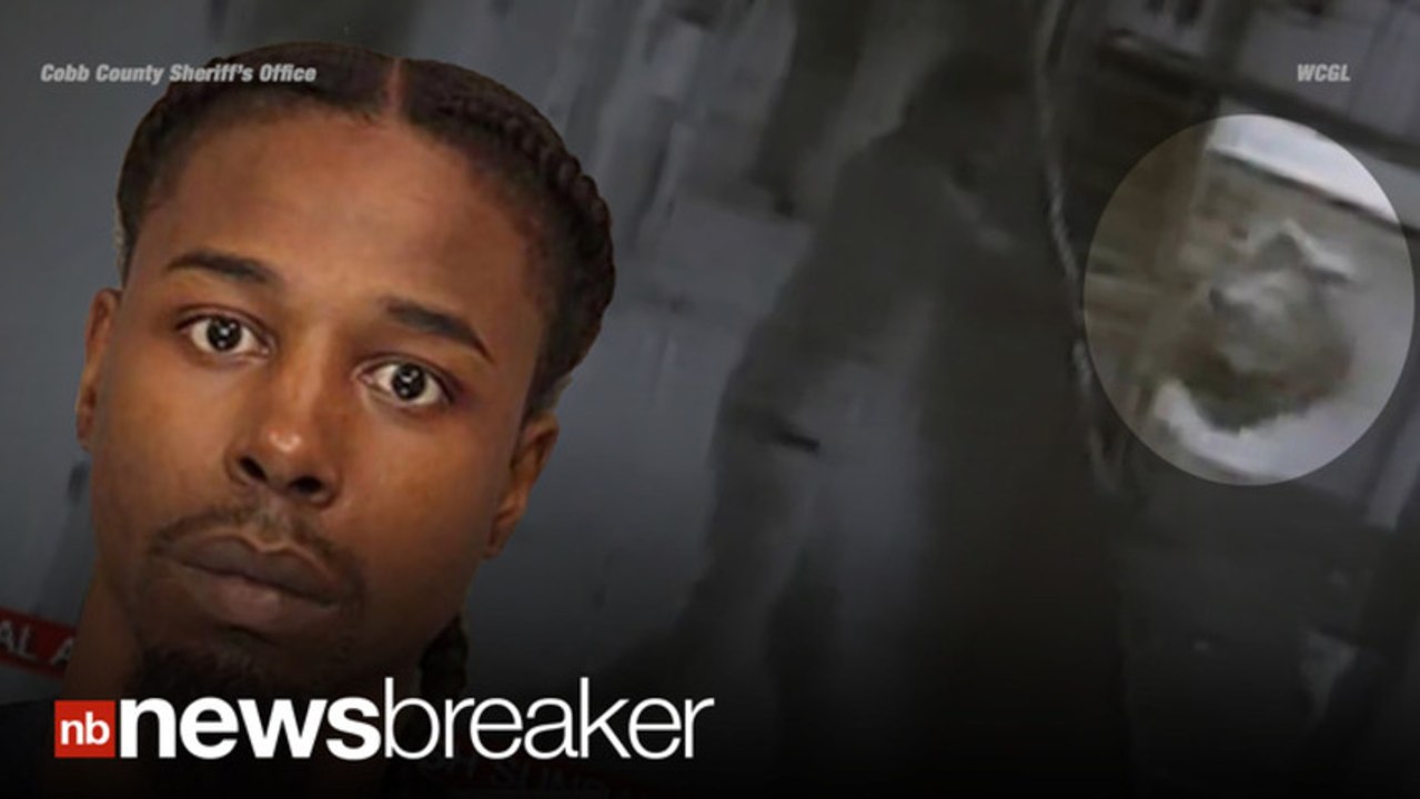 CRUEL CRIME Man Caught on Tape Throwing Dog Off Balcony; Dog Now