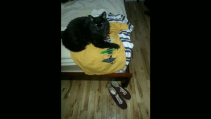 Resident evil Madrugador en busca del barco fantasma parte 5