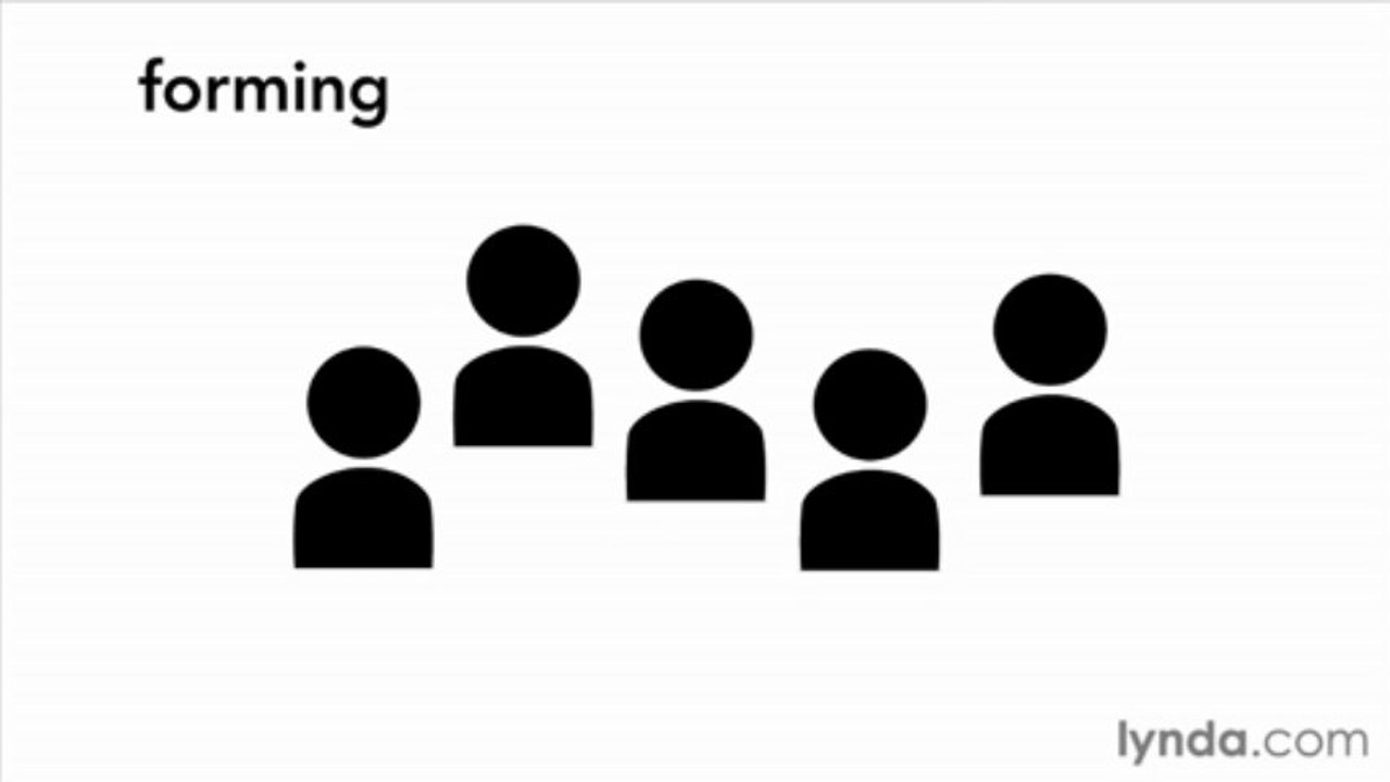 5-3 Understanding team dynamics
