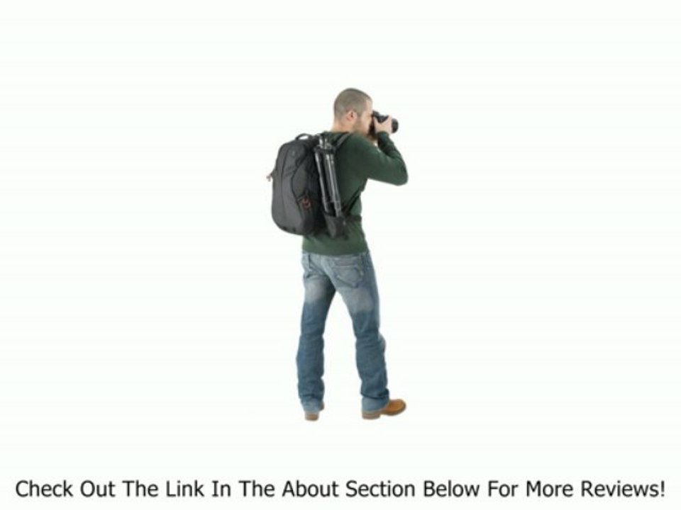 Kata KT PL-MB-120 MiniBee-120 PL Backpack - Black Review