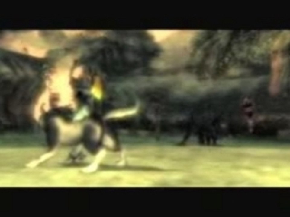 Legend Of Zelda sur Wii