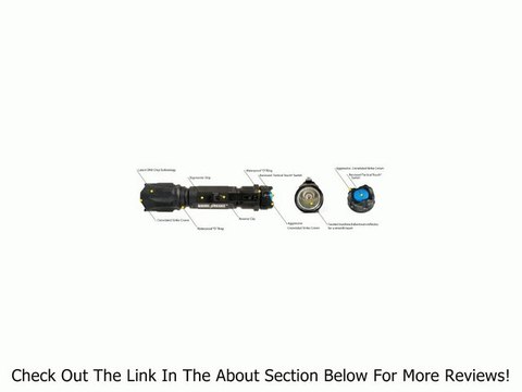 Brite Strike BD-198-HLS-2C Tactical Blue Dot Series 310-Lumen Hi Lo Strobe 2-Cell LED Flashlight Review