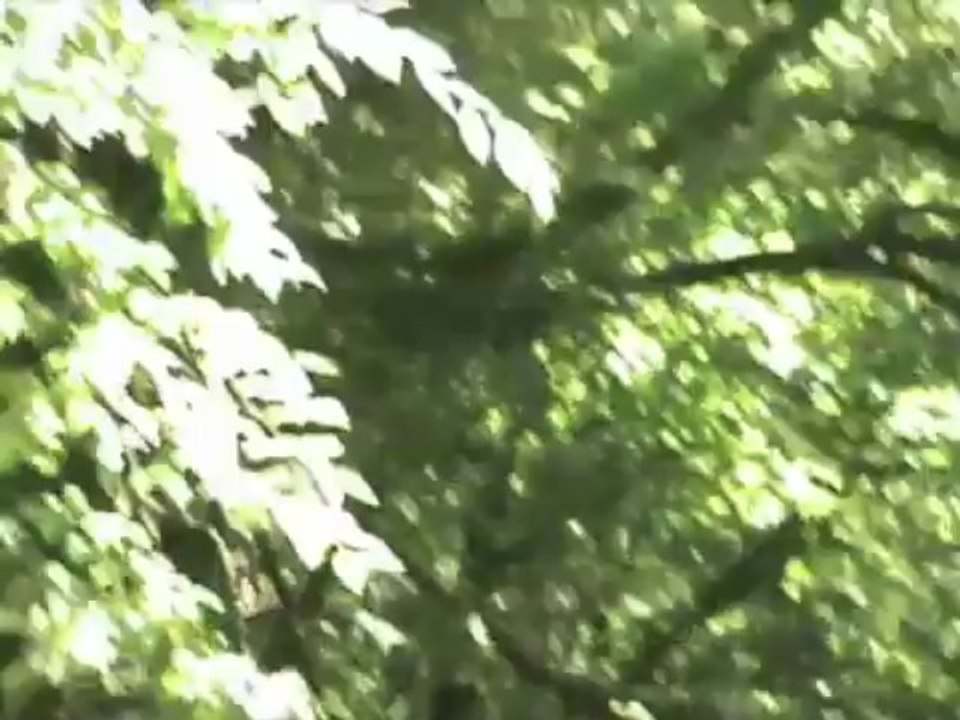 Le Nouvion-en-Thiérache,  Station Verte de vacances