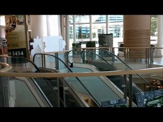 Architectural Thesis Display