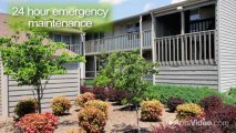 Evergreen Terrace Apartments in Johnson City, TN - ForRent.com