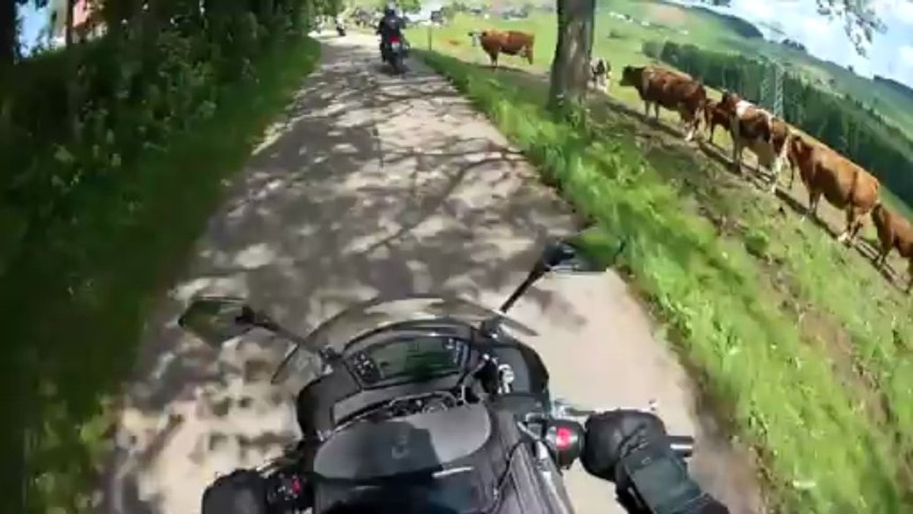 DES CHRÉTIENS EN SELLE SUR LA TERRE GERMANIQUE