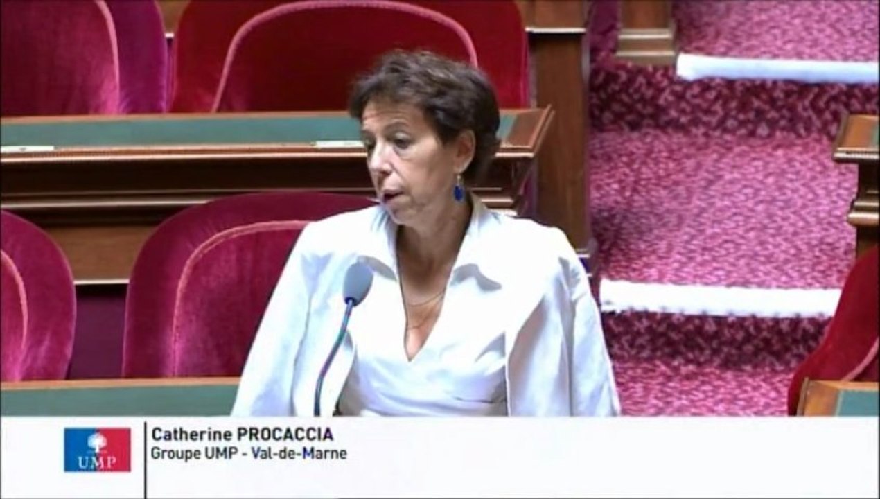 Usurpation des plaques minéralogiques : "Le gouvernement doit mettre fin à l’absence d’encadrement et de contrôle de cette source de délinquance routière"