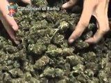 Roma - Operazione Paquetes, 50 arresti 230 chili di droga sequestrata (09.07.13)