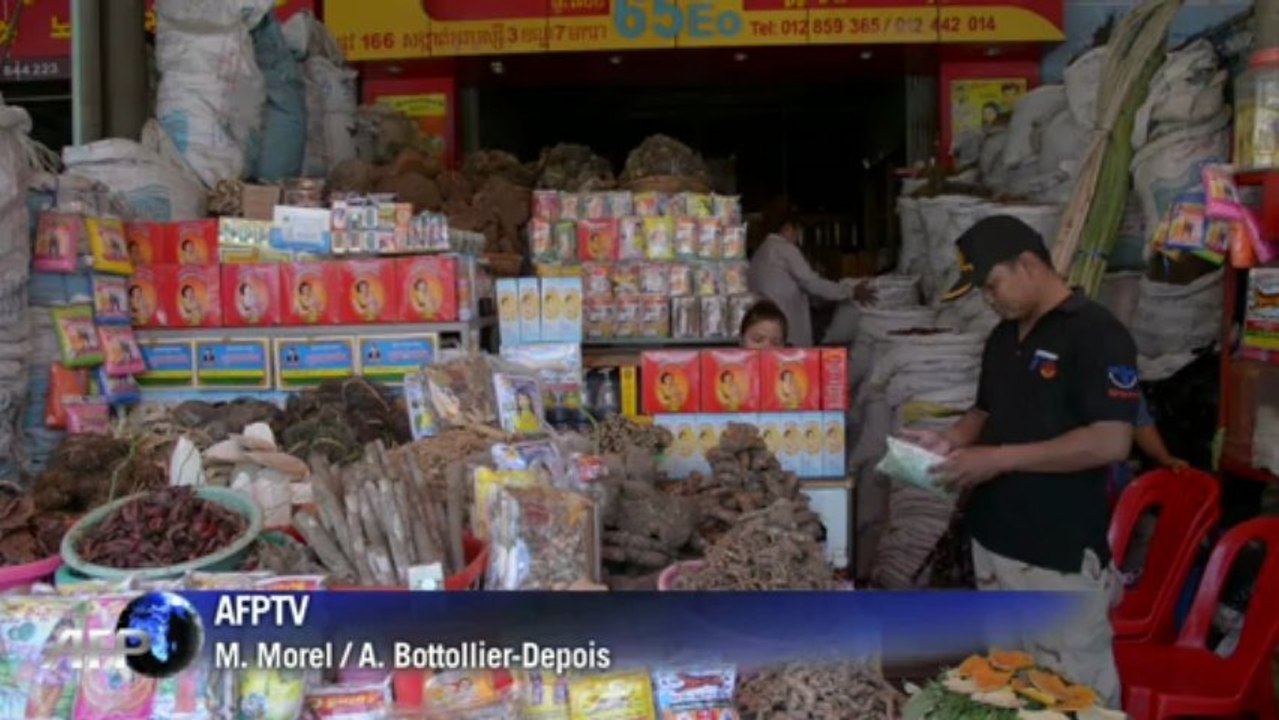 Kambodschas Heiler auf dem Weg in die Moderne