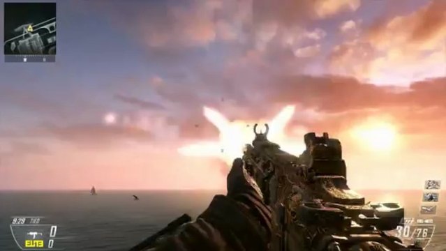 Black Ops 2 PALADIN Camo on All Weapons - Paladin Camo