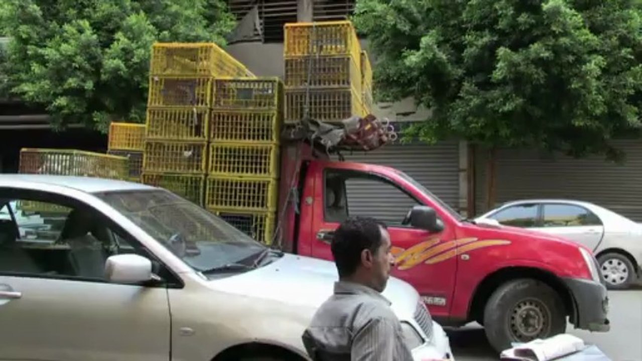 Golfstaaten fürchten Ägyptens Zerfall